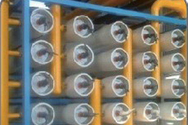 1585123783742304.jpg 5.jpg