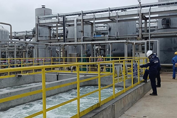 1619753121108692.jpg 5555.jpg