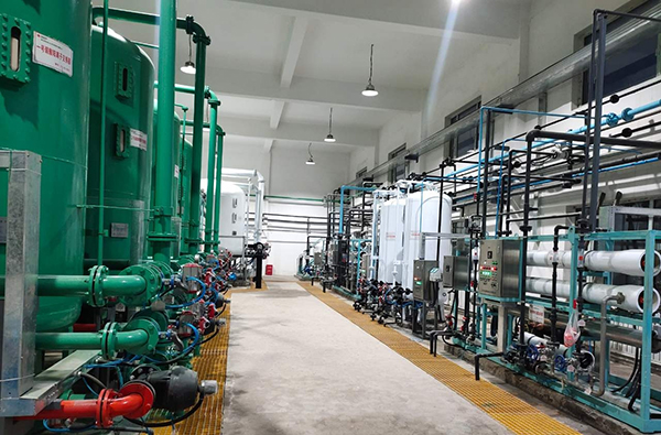 1642063142570722.jpg 1.jpg