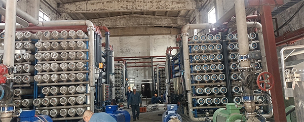 1654069247331792.jpg 項目131.jpg