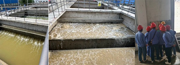 1654069289520140.jpg 項目141.jpg